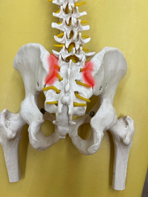 行徳 腰の痛み 改善事例